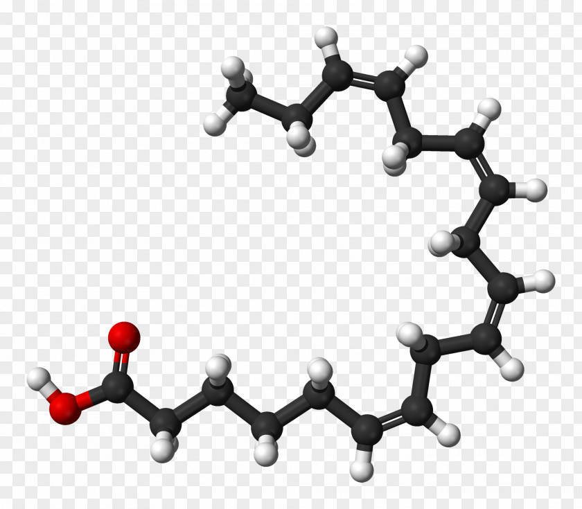 Ulmus Crassifolia Dietary Supplement Docosahexaenoic Acid Eicosapentaenoic Omega-3 Fatty Acids PNG