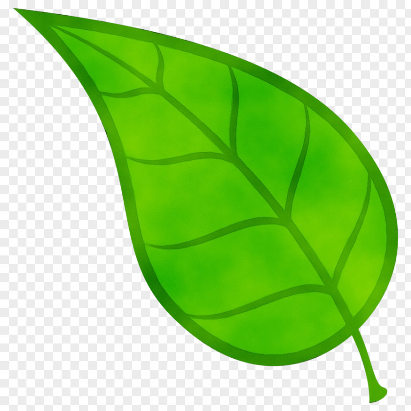 Banana Leaf Plant PNG