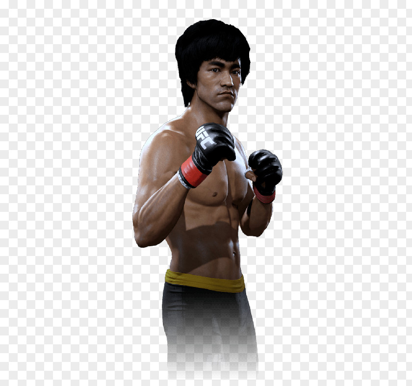 Bruce Lee EA Sports UFC 2 4: Revenge Of The Warriors 16: Battle In Bayou PNG