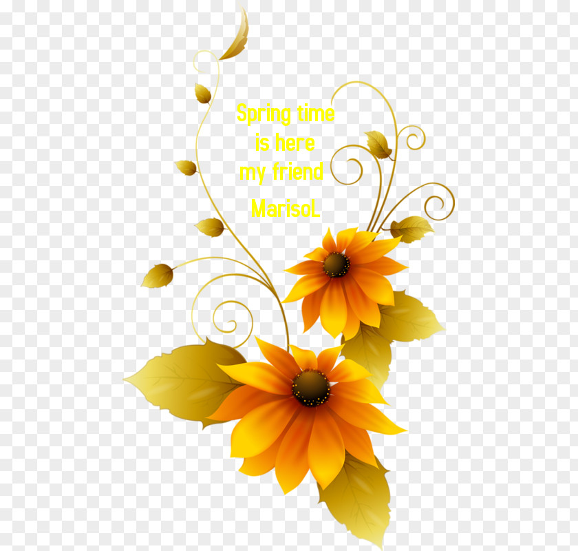 Flower Graphic Design Adobe Photoshop Graphics PNG