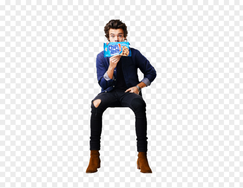 One Direction 5 Seconds Of Summer Sitting Shoe PNG