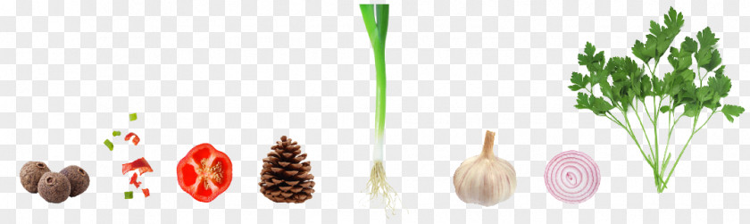 Vegetable Material Garlic Capsicum Annuum Onion PNG