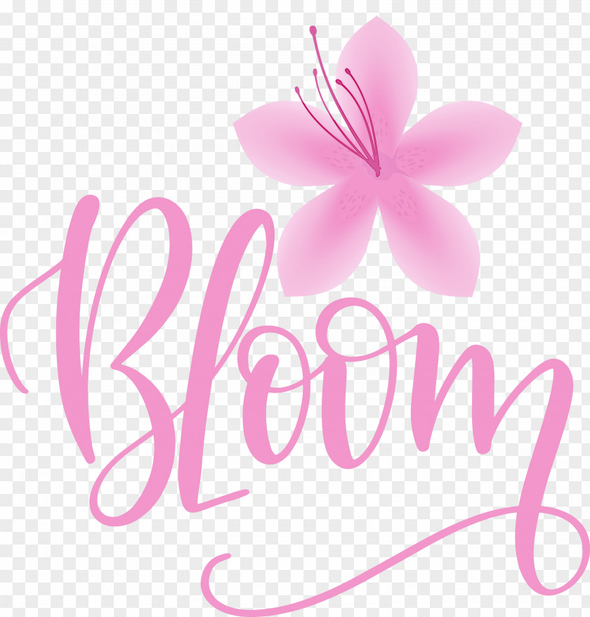 Bloom Spring PNG