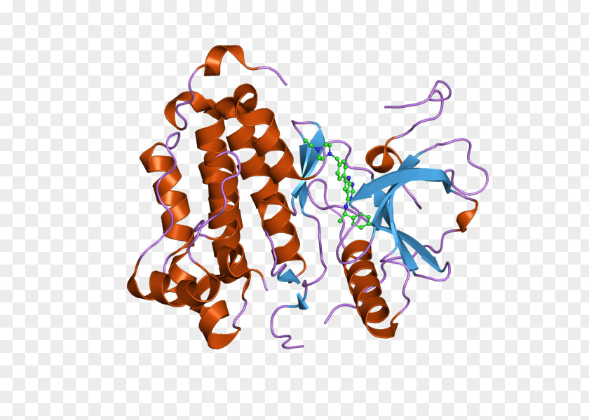 Epidermal Growth Factor Receptor Tyrosine Kinase PNG