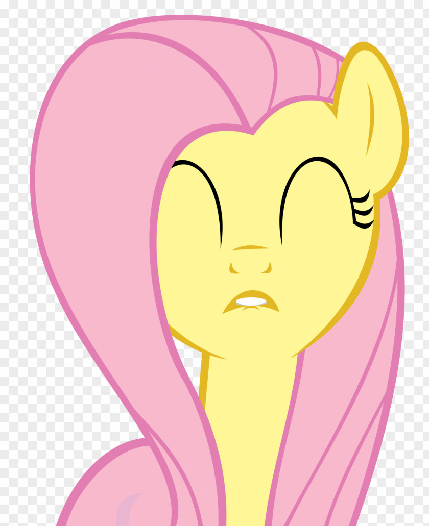 My Little Pony Fluttershy Rainbow Dash PNG