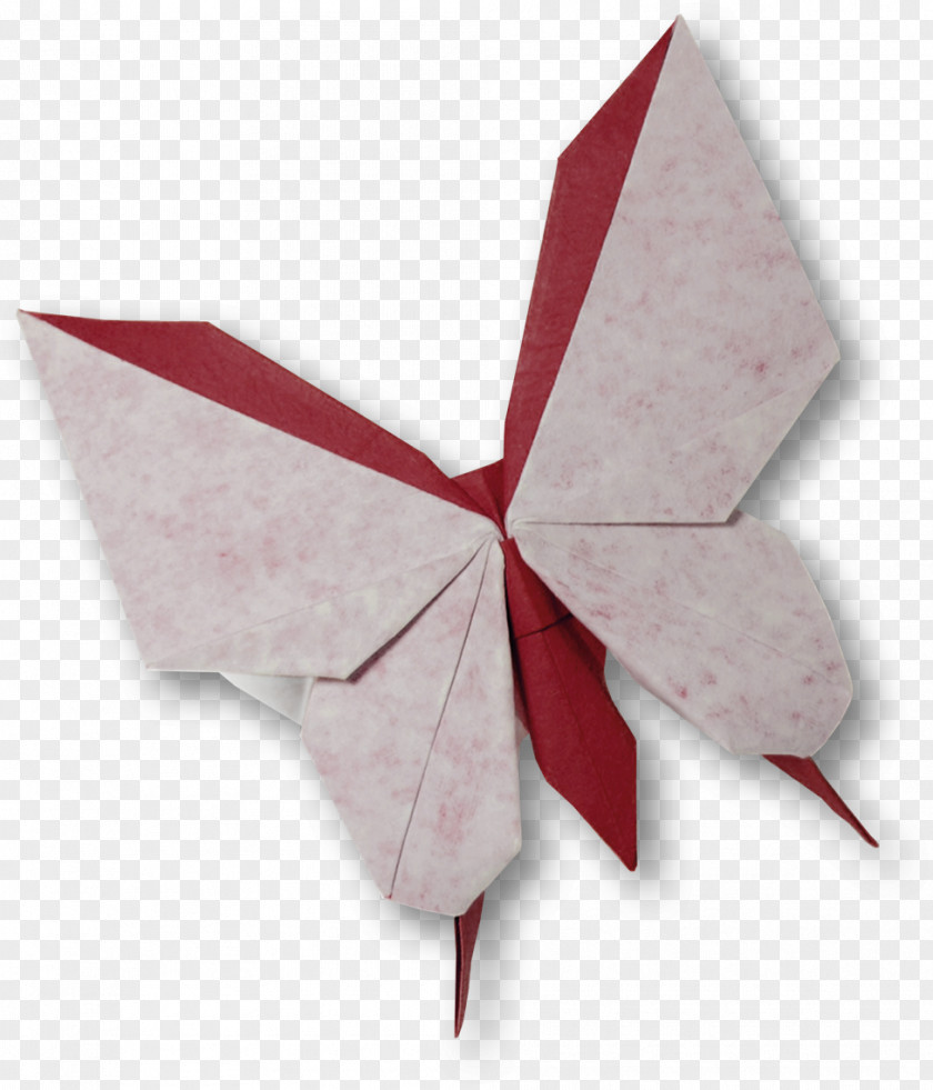 Origami Paper Butterfly Kaizen PNG