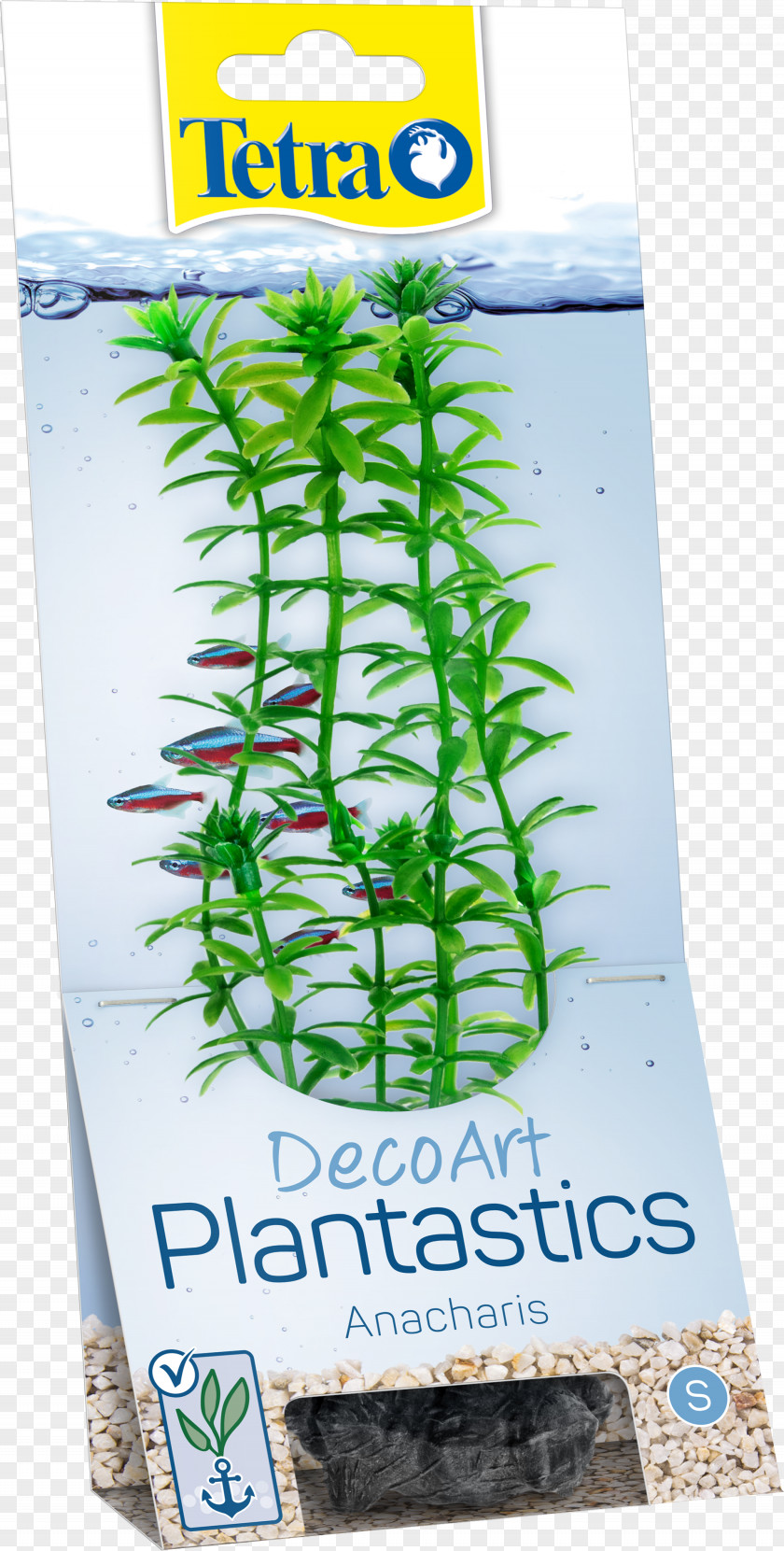 Plant Aquariums Fishkeeping Tetra PNG