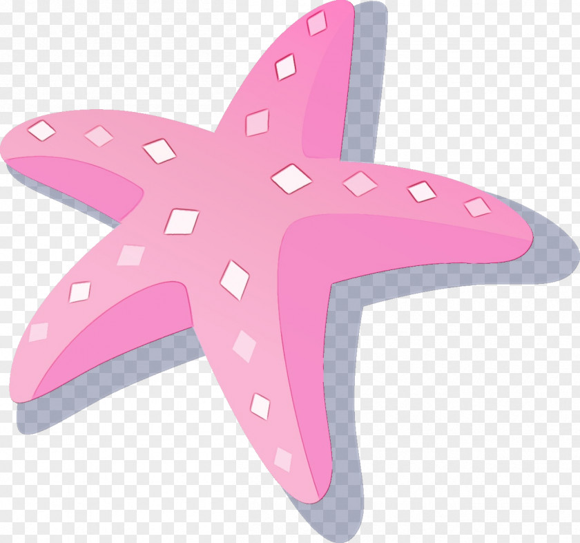 Starfish Pink M PNG