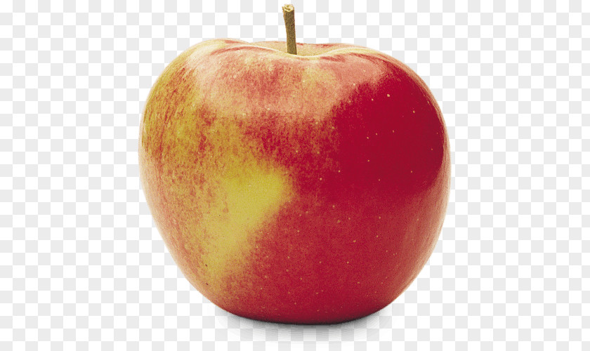 Apple Organic Food Gala Ambrosia Red Delicious PNG