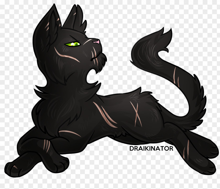 Cat Black Into The Wild Nightstar Warriors PNG