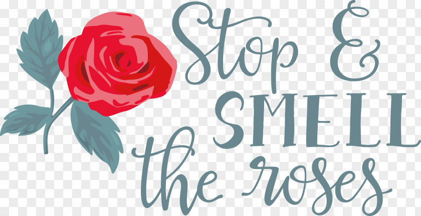 Rose Stop And Smell The Roses PNG