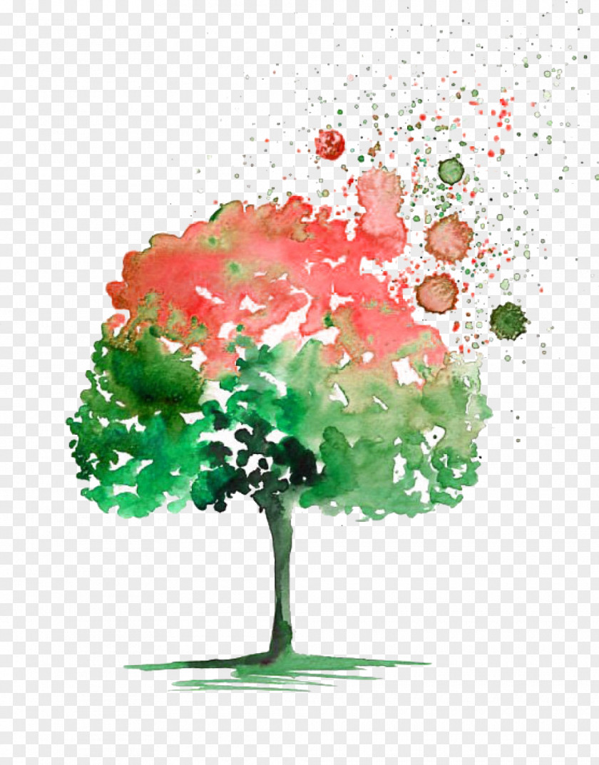 Watercolor Picture Material Tree Painting Drawing PNG