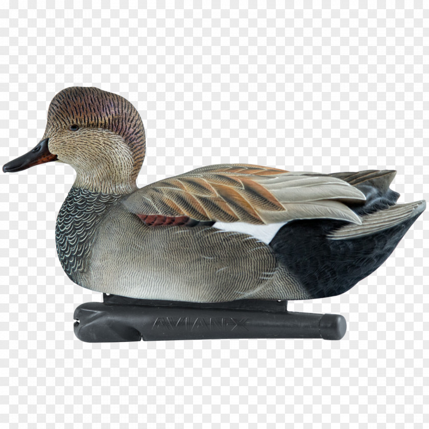 Wooden Boat On Water Far Away Mallard Avian-X Topflight Gadwall Duck Decoys PNG