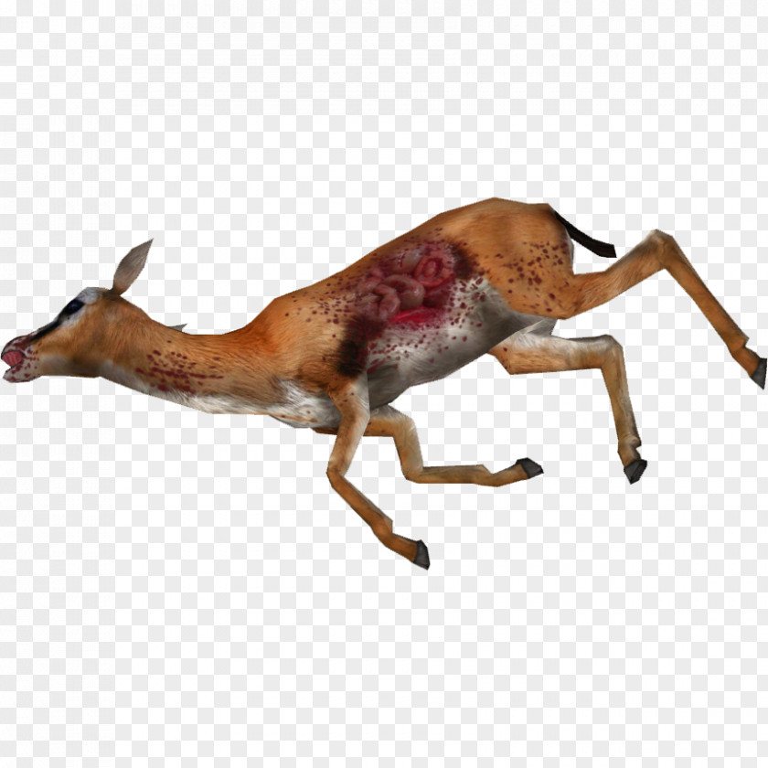 Gazelle Impala Deer Antelope Death PNG