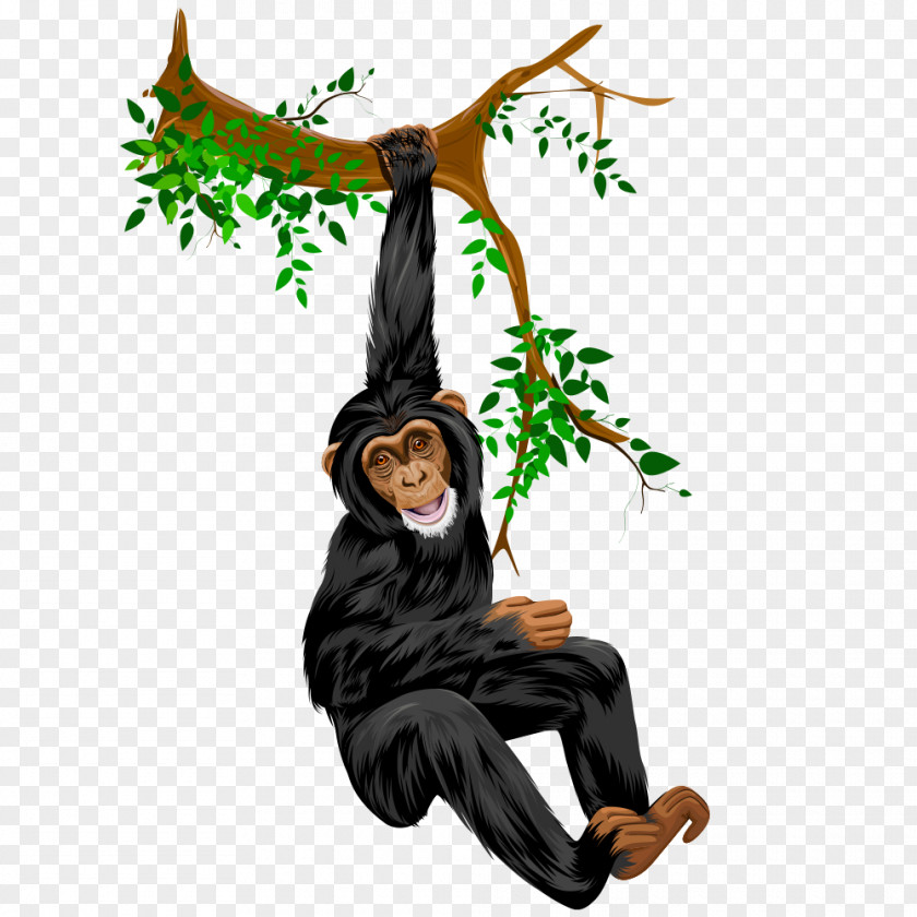 Orangutan Tree Branch Drawing Comics PNG