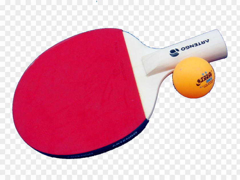 Ping Pong Paddle Table Tennis Racket PNG