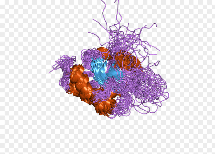 SCO1 SCO2 Protein Organism Mitochondrial Disease PNG