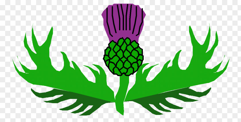 Thistle Clipart Clip Art Openclipart Scotland Vector Graphics PNG
