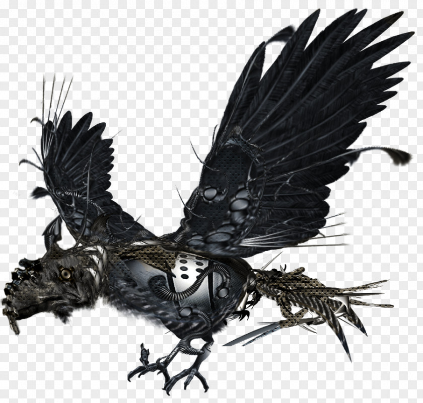 Bird Of Prey Eagle Cartoon PNG