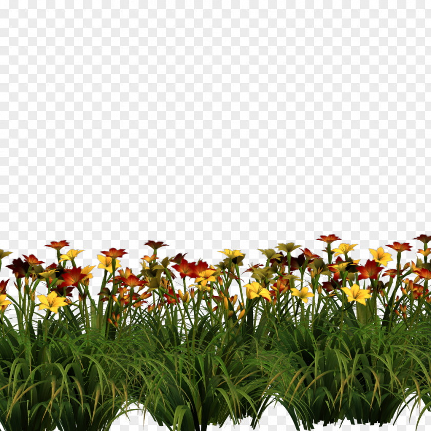 Blumen Flower Desktop Wallpaper Clip Art PNG