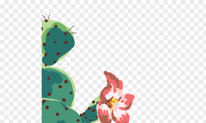 Cactus Green Cactaceae PNG