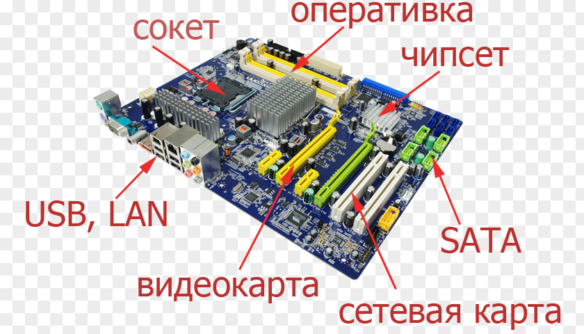 Computer Graphics Cards & Video Adapters Cases Housings Motherboard Printed Circuit Boards PNG