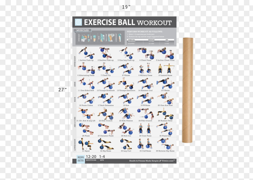 Fitness Poster Exercise Balls Bands Dumbbell Physical PNG