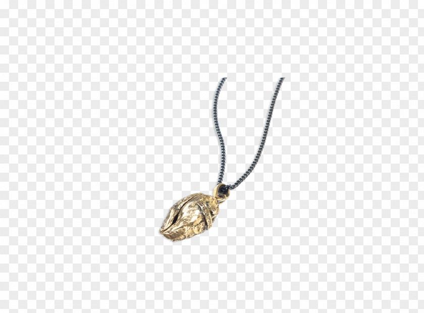 Necklace Locket Body Jewellery PNG