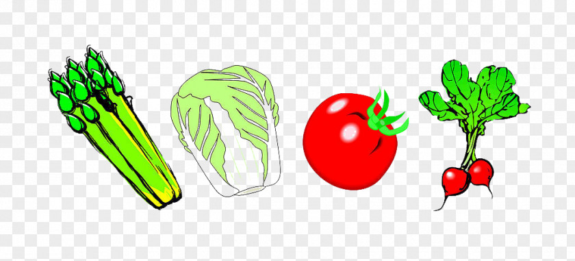Vegetable And Fruit PNG