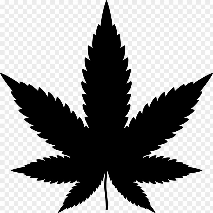 Weed Cannabis Joint Silhouette Drug PNG