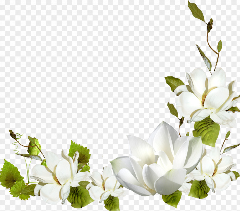 White Flower Picture Frames Clip Art PNG