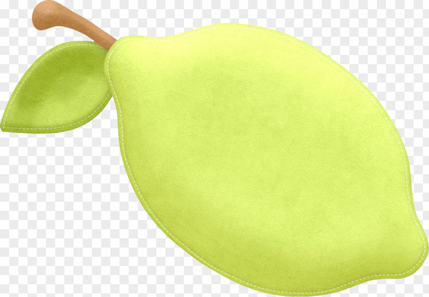 Fruit Illustration Drawing Image Painting PNG