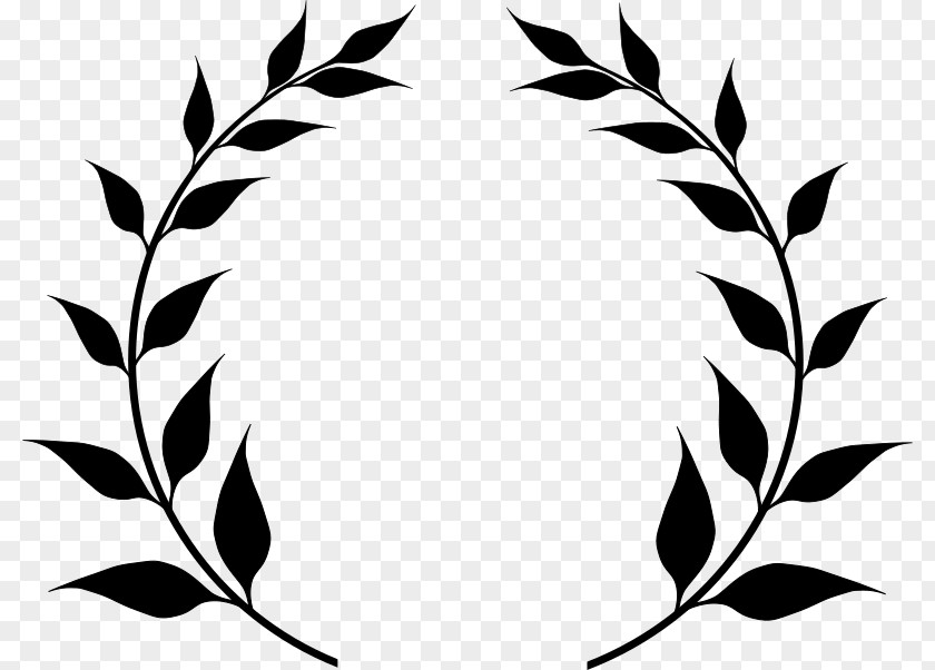 Leaf Laurel Wreath Bay Clip Art PNG