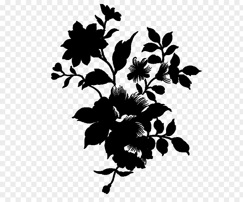 Rose Family Leaf Floral Design PNG