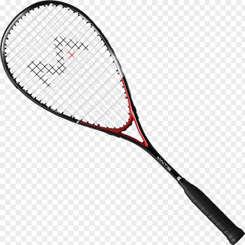 Tennis Racket Squash Tecnifibre Sport Strings PNG