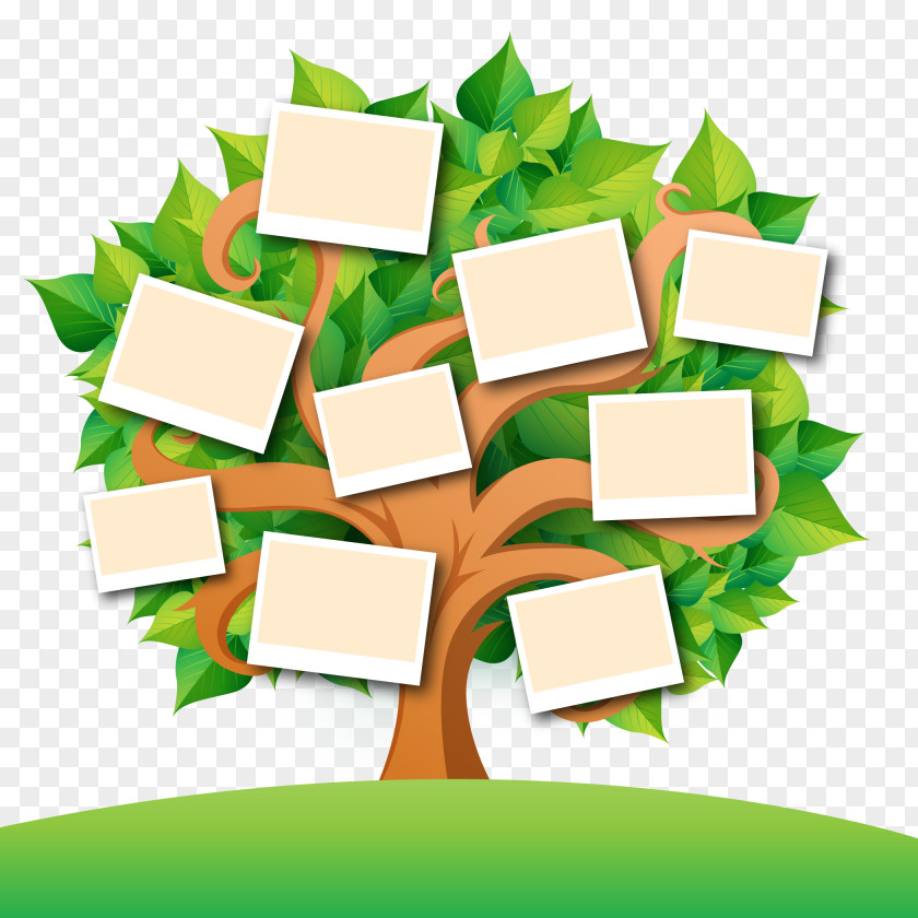 Vector Family Tree With Leaves Genealogy Book PNG