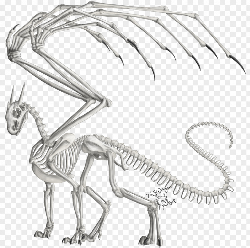 Anatomy Dragon Human Skeleton Drawing PNG