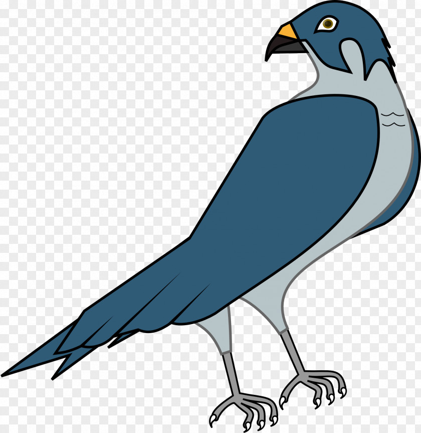Falcon The Peregrine Clip Art PNG