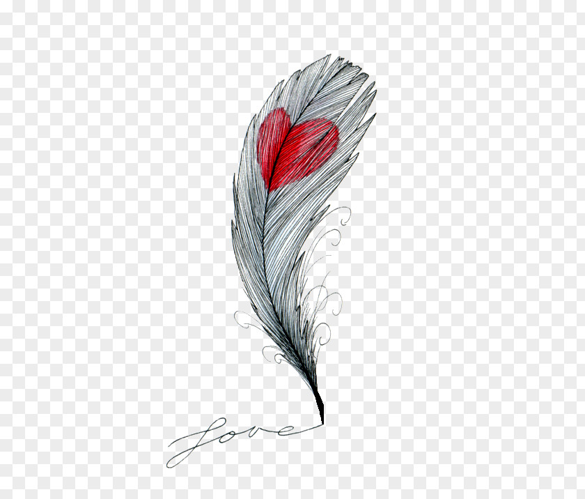 Feather Drawing Heart Sketch PNG