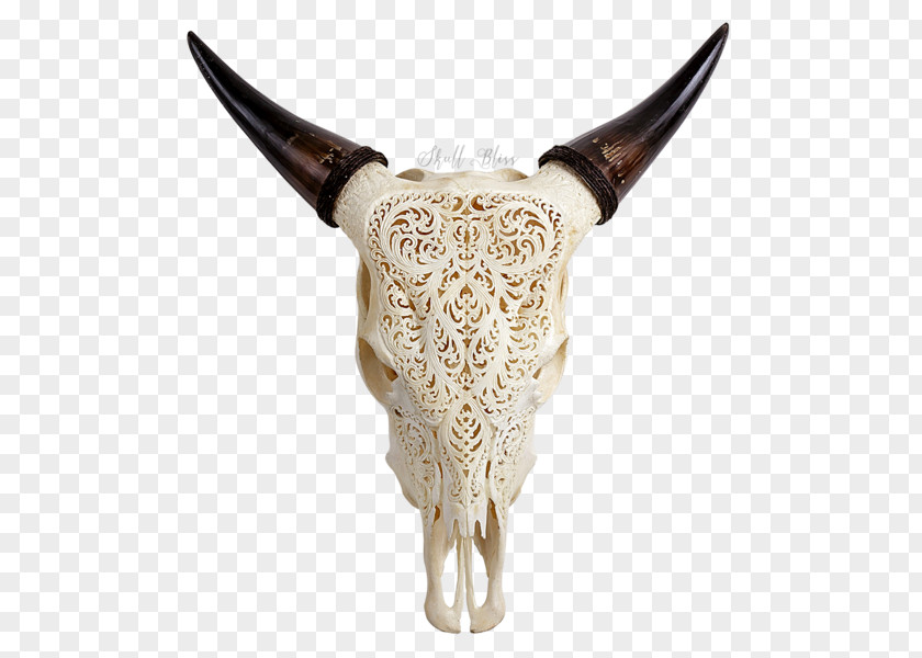 Skull Texas Longhorn English Animal Skulls Cow's Skull: Red, White, And Blue PNG