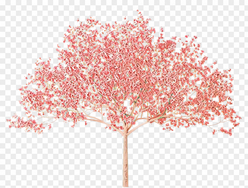 Twig Maple Cherry Blossom Tree PNG