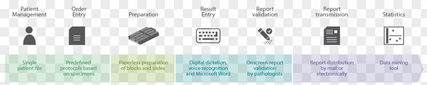 Pathology Lab Document Line Technology Angle PNG