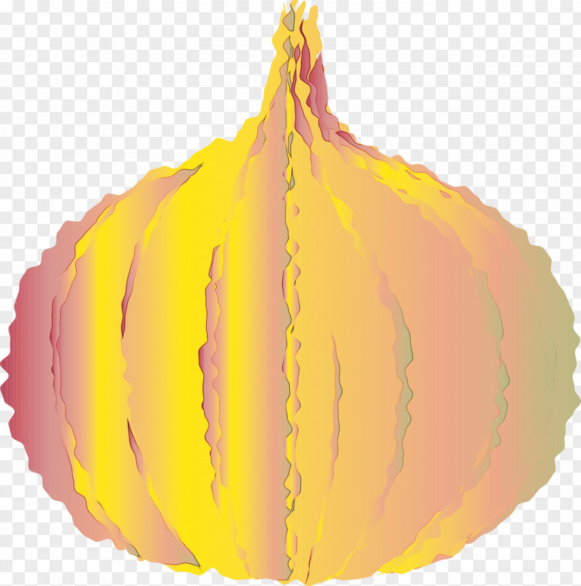 Squash Calabaza Leaf Winter Yellow PNG