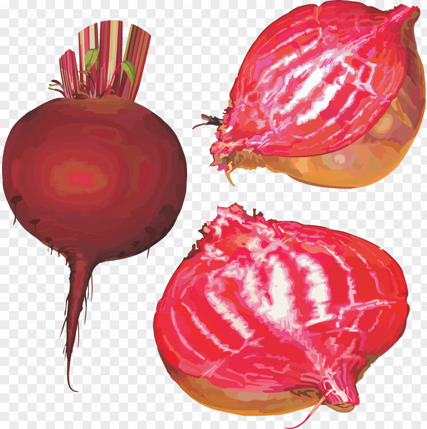 Beet Common Beetroot Clip Art PNG