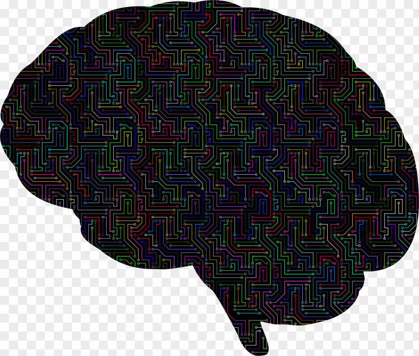 Brain Skull PNG