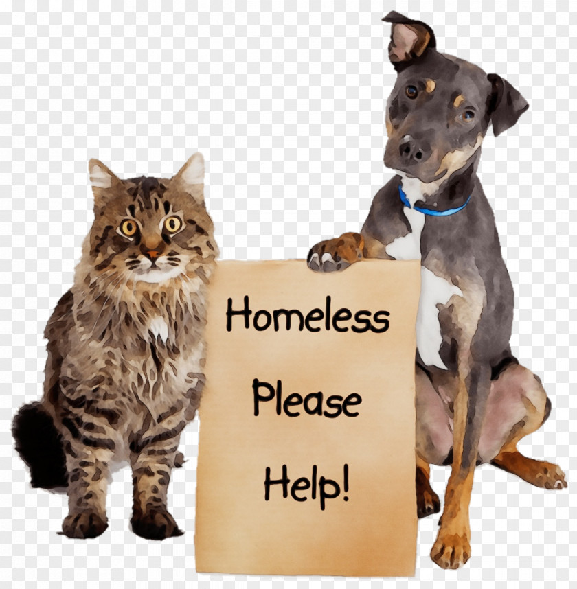 Dog Cat Animal Shelter Pet Adoption Rescue Group PNG