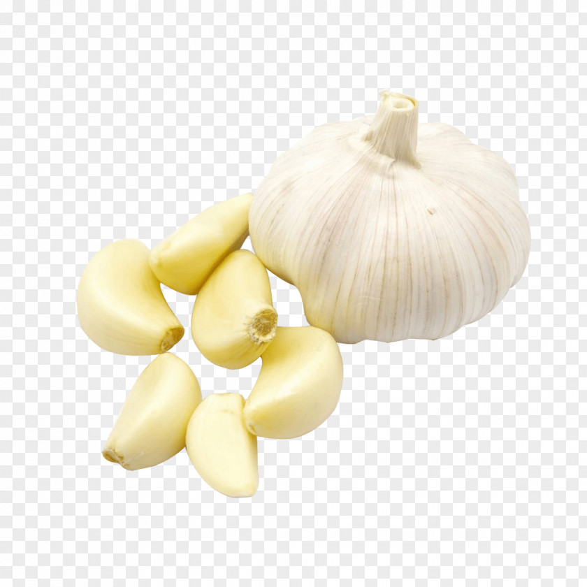 Garlic Elephant Twice-cooked Pork Vegetable Oil PNG