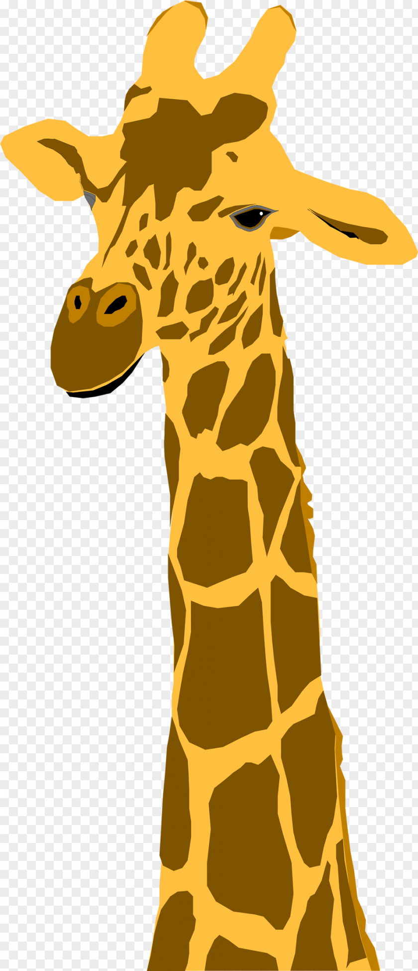 Giraffe T-shirt Animation PNG