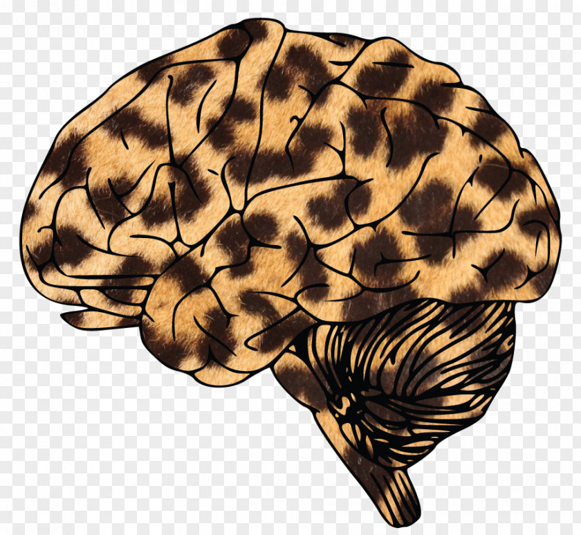 Leopard Brain Tumor T-shirt PNG