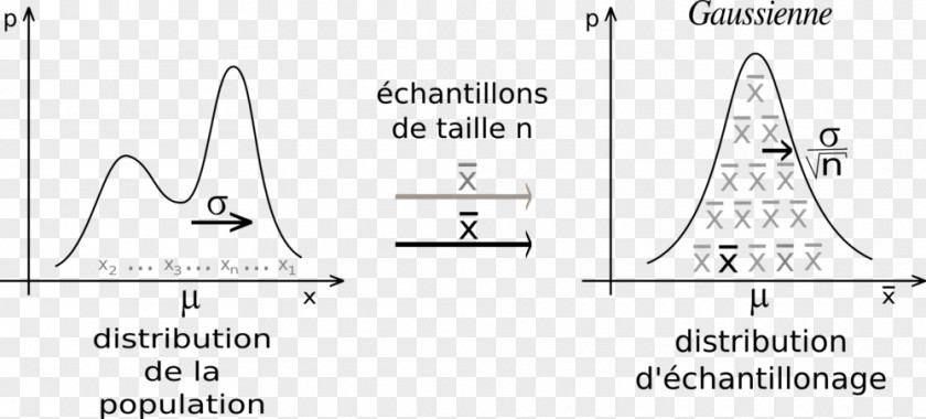 Mathematics Central Limit Theorem Berry–Esseen Bean Machine PNG